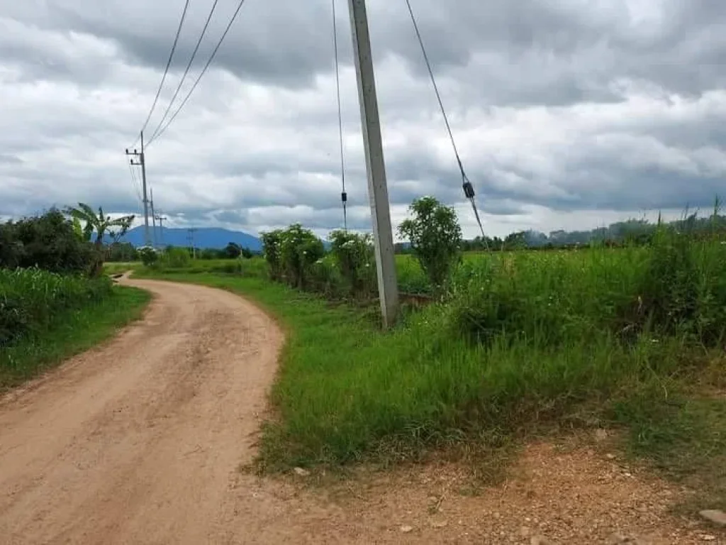 ขายที่ดินเห็นวิวดอยหลวงชัดเจนแถวบ้านทุ่งละครเชียงดาวโฉนดพร้อมโอน