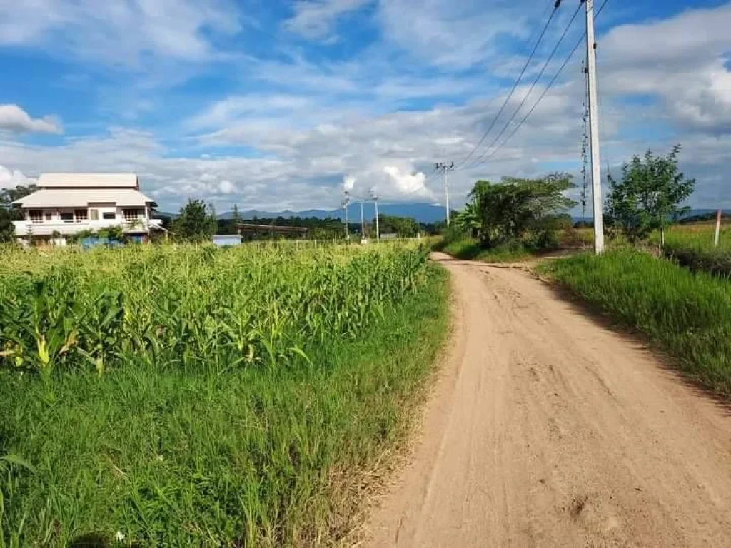 ขายที่ดินเห็นวิวดอยหลวงชัดเจนแถวบ้านทุ่งละครเชียงดาวโฉนดพร้อมโอน