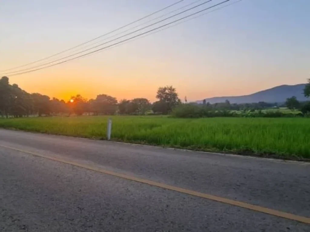 ขายที่นาติดถนนลาดยางวิวดอยออนใต้สันกำแพงโฉนดพร้อมโอนราคาถูก