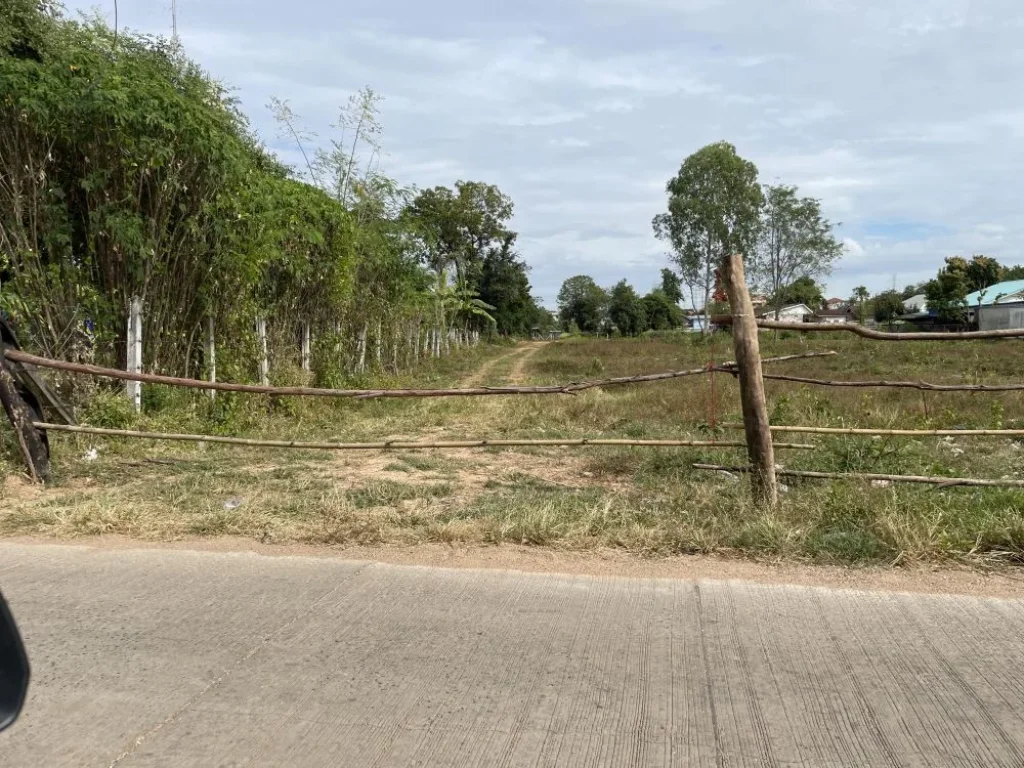 ที่ดินที่อยู่อาศัยใกล้ถนนบ้านกอก land near Bankok road