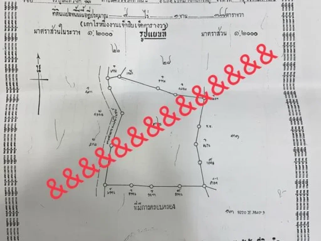 ขายที่ดินสวนทุเรียนติดถนน 9ไร่ อายุ2ปี 200กว่าต้น อเบตง จยะลา