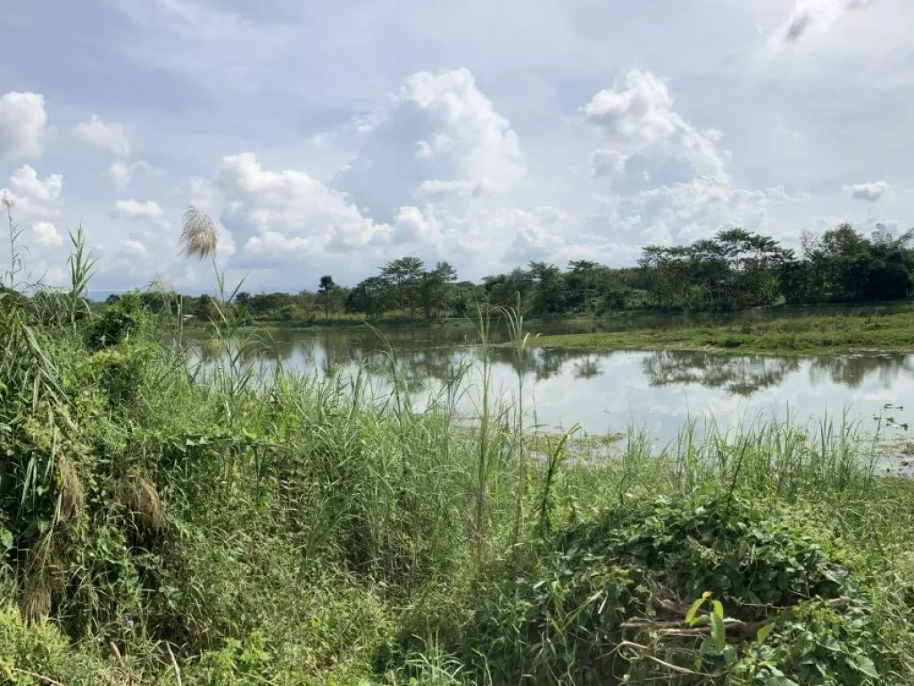 ที่ริมแม่น้ำจาง บรรยากาศดี รับวิวแม่น้ำ และ ดอยพระฌาณ ใน อ แม่ทะ ลำปาง