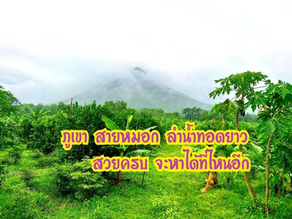 ที่ริมน้ำเหลือแปลงสุดท้าย ที่ดินริมน้ำห้วยแม่ประจันท์ หนองหญ้าปล้อง เพชรบุรี