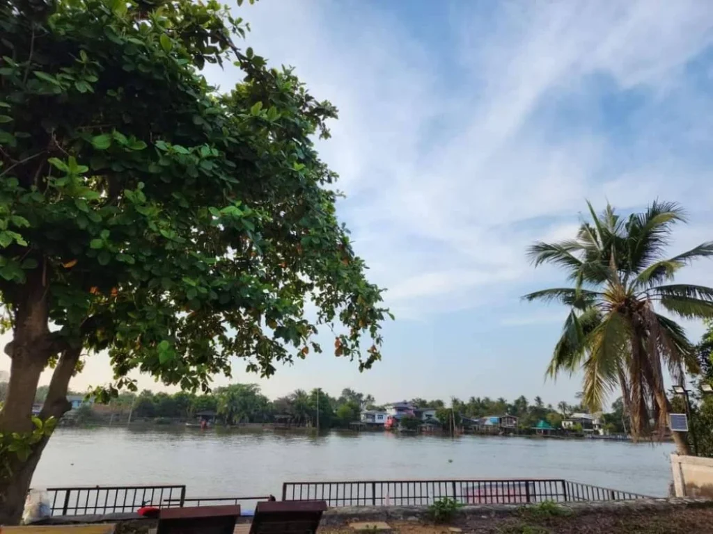 ขายที่ดินริมแม่น้ำเจ้าพระยา ที่ริมน้ำปากเกร็ด นนทบุรี ที่ติดน้ำเจ้าพระยา บรรยากาสดีมาก ถนนสาธารณะ รถเข้าถึงที่ ใกล้ห้าแยกปากเกร็ด แจ้งวัฒนะ ขายถูก