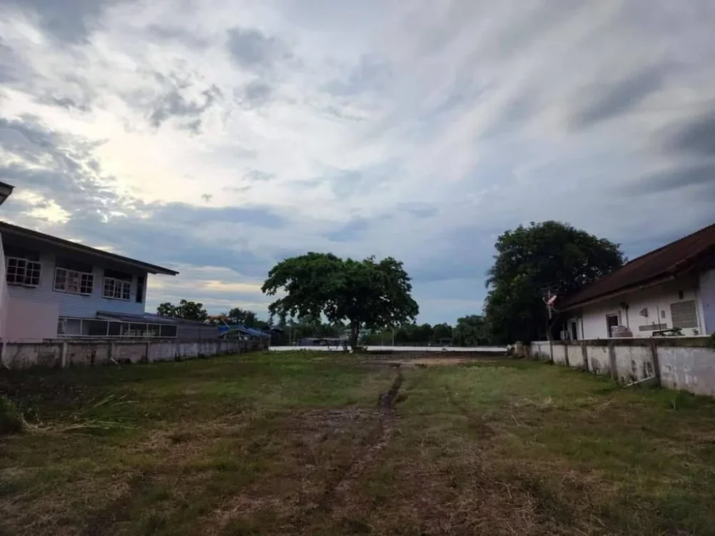 ขายที่ดินริมแม่น้ำเจ้าพระยา ที่ริมน้ำปากเกร็ด นนทบุรี ที่ติดน้ำเจ้าพระยา บรรยากาสดีมาก ถนนสาธารณะ รถเข้าถึงที่ ใกล้ห้าแยกปากเกร็ด แจ้งวัฒนะ ขายถูก