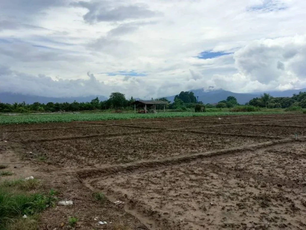 เจ้าของขายเอง ขายที่ดินติดแม่น้ำลี้ วิวดอยอินทนนท์ เหมาะทำบ้านพักตากอากาศ