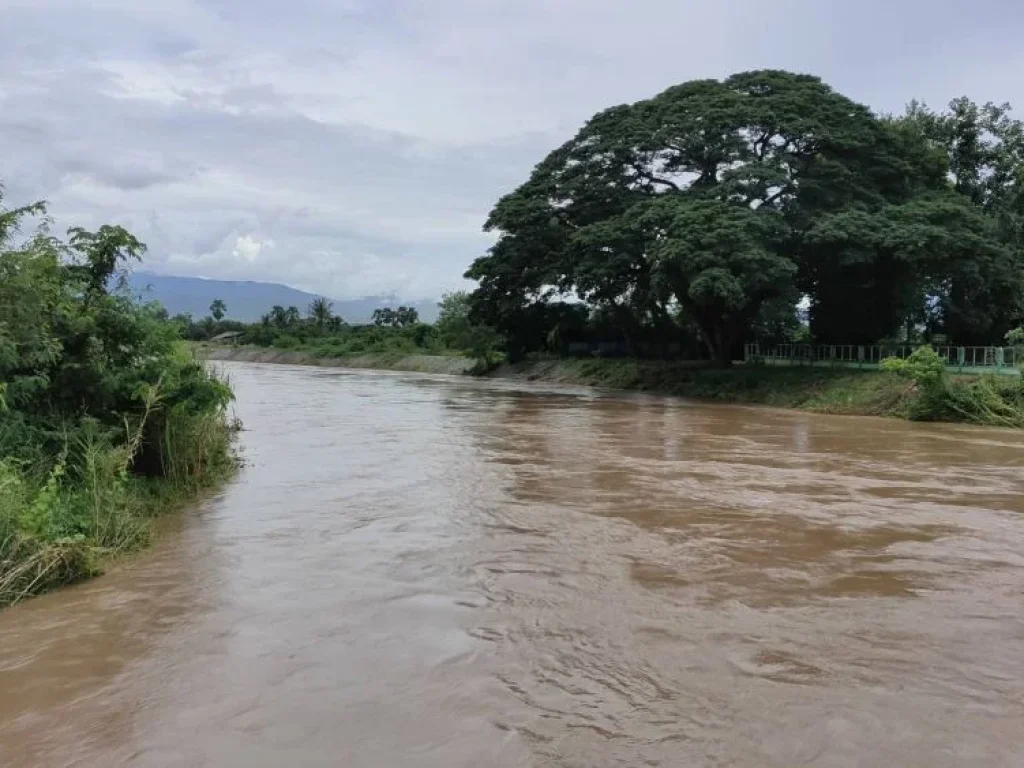 เจ้าของขายเอง ขายที่ดินติดแม่น้ำลี้ วิวดอยอินทนนท์ เหมาะทำบ้านพักตากอากาศ