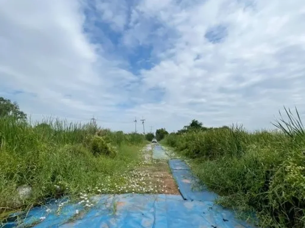 ที่ดินเปล่า 222 ตรว หลังอนามัยนราภิรมย์ บางเลน นครปฐม ที่ดินจัดสรร ยังไม่ถม