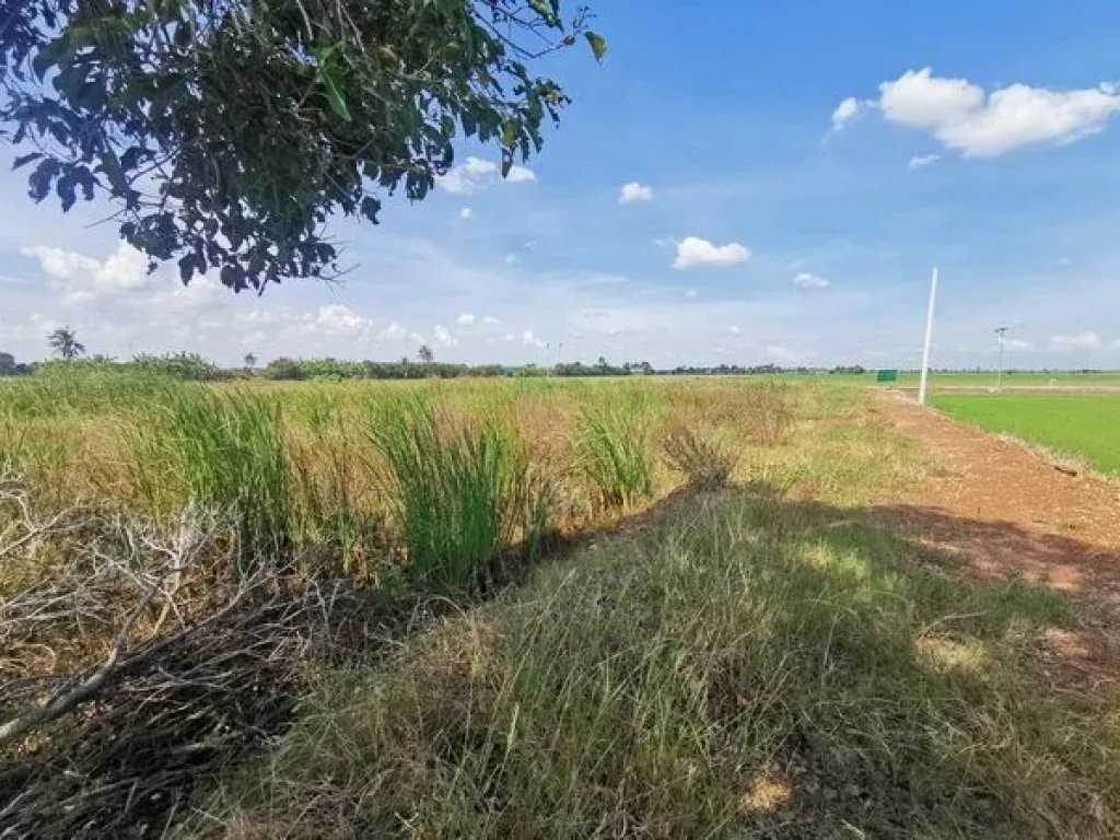 ขายที่ดิน เทศบาลเทพราช ถนนสุวินทวงศ์ อำเภอบ้านโพธิ์ ฉะเชิงเทรา