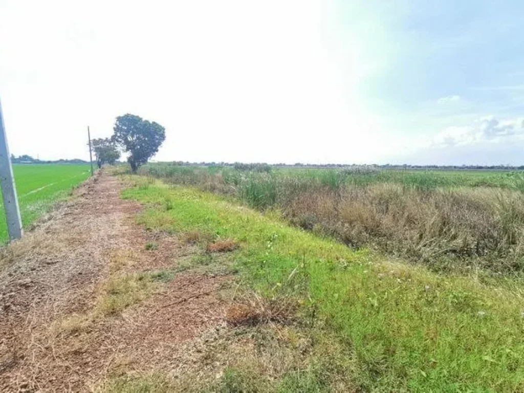 ขายที่ดิน เทศบาลเทพราช ถนนสุวินทวงศ์ อำเภอบ้านโพธิ์ ฉะเชิงเทรา