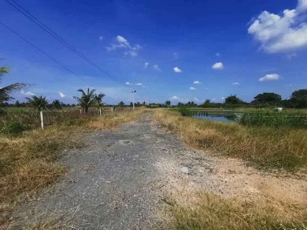 ขายที่ดิน เทศบาลเทพราช ถนนสุวินทวงศ์ อำเภอเมือง ฉะเชิงเทรา