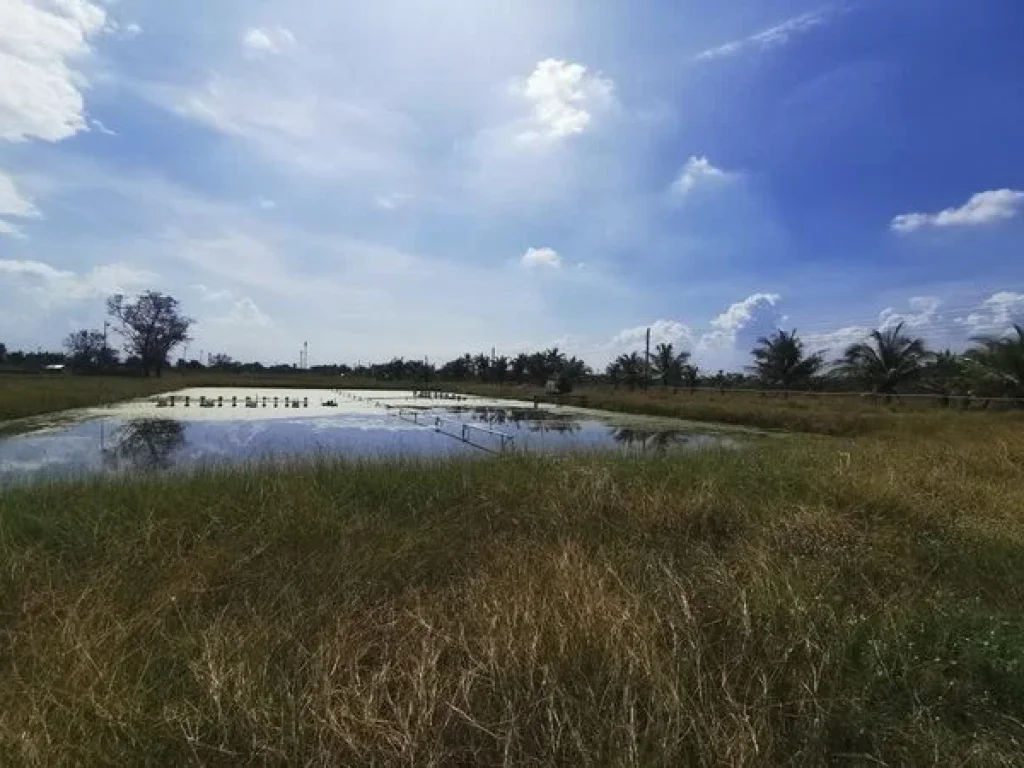 ขายที่ดิน เทศบาลเทพราช ถนนสุวินทวงศ์ อำเภอเมือง ฉะเชิงเทรา