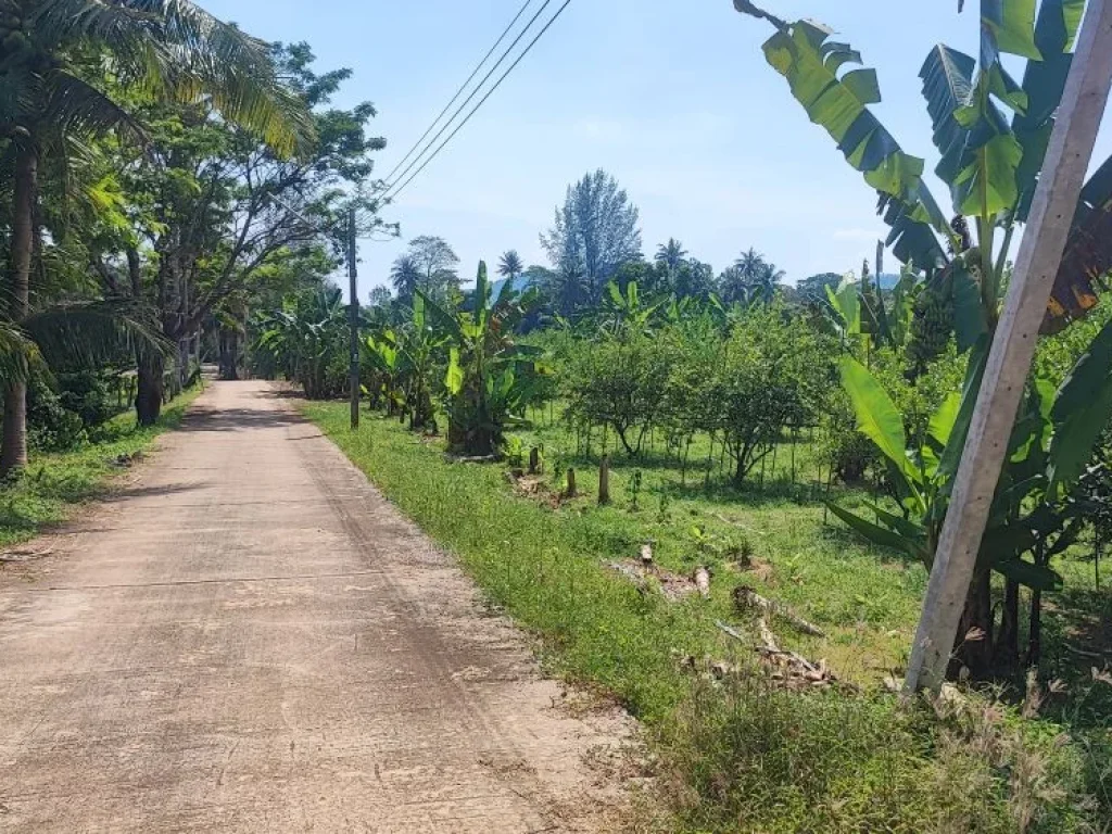 ขายที่ดินติดแม่น้ำเพชรฯ ติดคอนกรีต สวนทุเรียน 16-1-35 ไร่