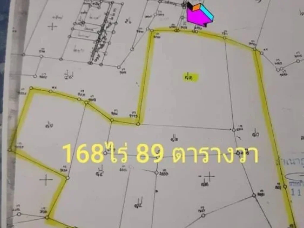 ที่ดิน 168 ไร่ โฉนดพร้อมโอนแหล่งท่องเที่ยว60ล้านบาท วังม่วง สระบุรี