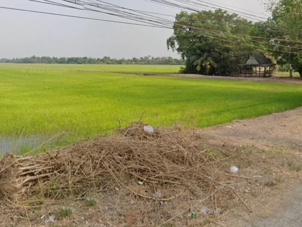 ขายที่ดิน 90 ไร่ คลอง7 ธัญบุรี ติดถนนเลียบคลองเจ็ด ตบึงบอน อหนองเสือ ปทุมธานี