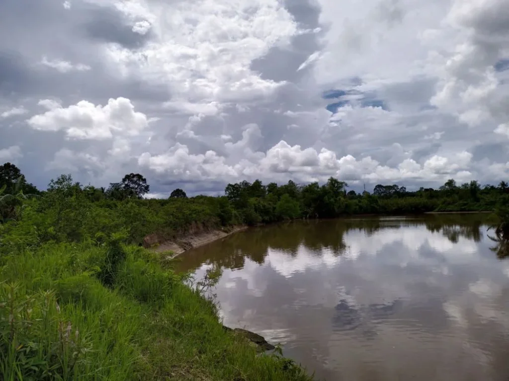 ขายที่ดินริมน้ำ ในตัวเมืองท่าศาลา จังหวัดนครศรีธรรมราช