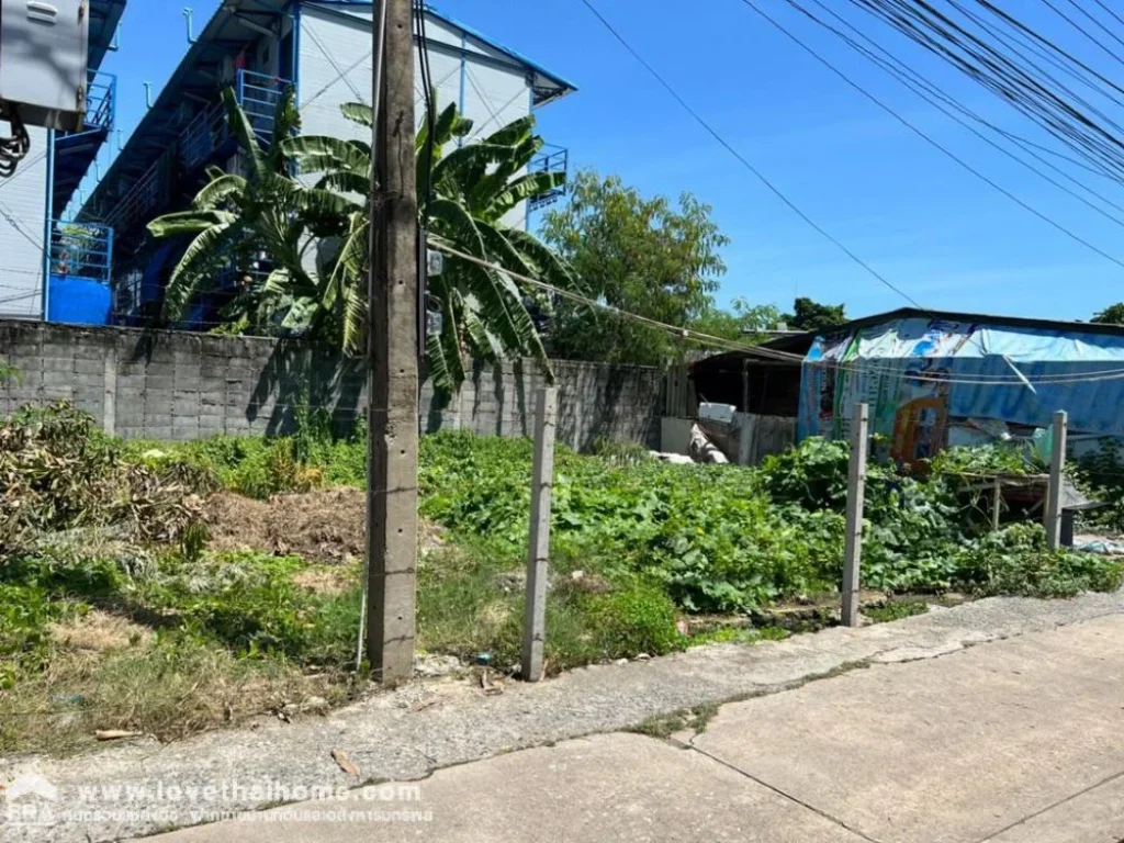 ขายที่ดิน ซอยปรีดีพนมยงค์47 ถนนสุขุมวิท71 พื้นที่798ตรว ถมแล้ว ราคาพิเศษพร้อมโอน ใกล้ BTSเอกมัย ขายถูกกว่าราคาตลาด