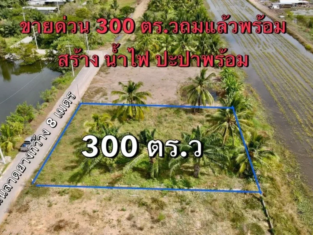 ขายที่ดินคลอง 8 เนื้อที่ 300 ตรว ถมแล้วพร้อมสร้าง หนองเสือ ปทุมธานี