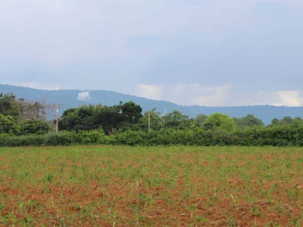 ขายที่ดินเขาใหญ่ เขาใหญ่ปากช่อง วิวภูเขามองเห็นทอสกาน่า บ้านคลองปูน