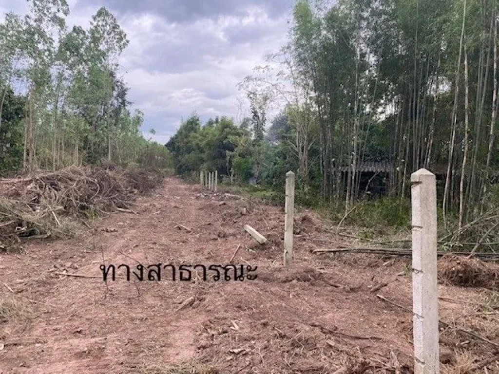 ขายที่ดินเหมาะสำหรับทำบ้านสวน บ้านพักส่วนตัว บรรยากาศดีติดถนน 2 ด้านการคมนาคมสะดวก