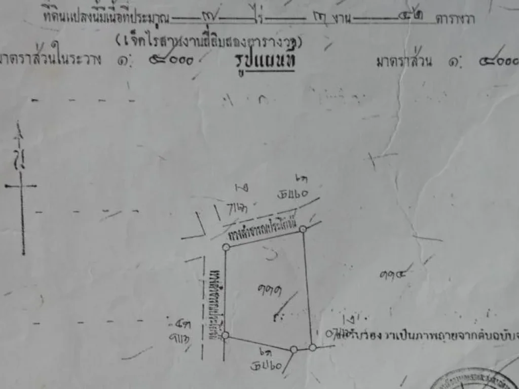 ขายที่ดินไร่นา ไร่สวน 7ไร่ 3งาน 42ตวา ราคาถูก ต่อรองกันได้