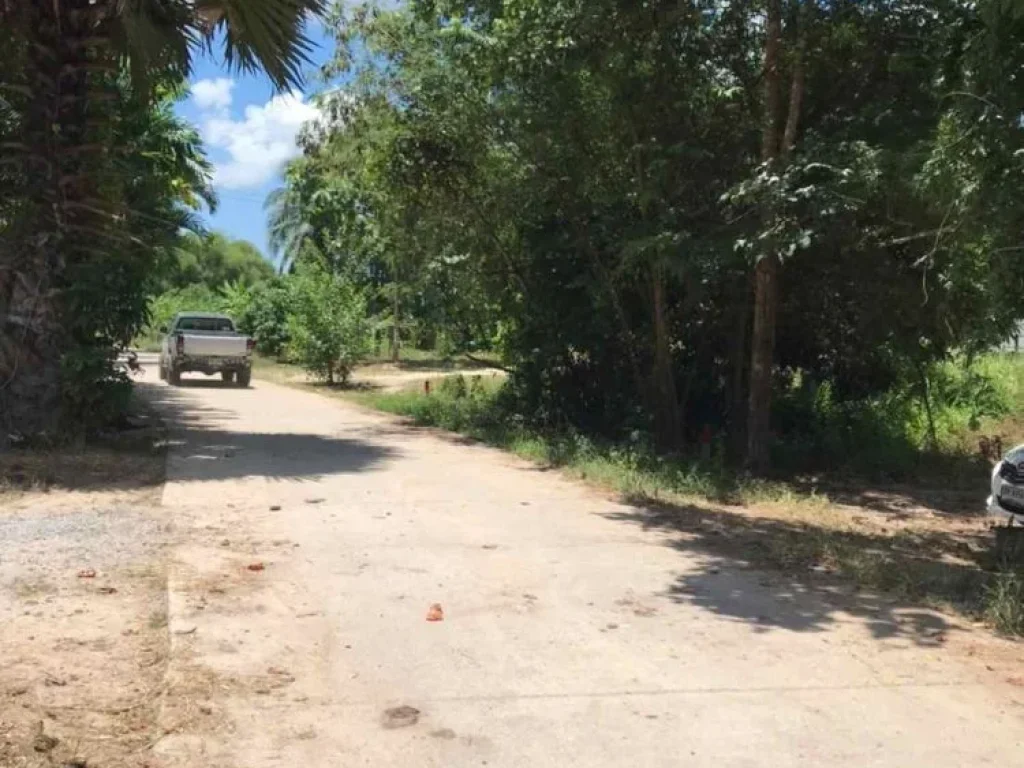 ขายที่ดินทำเลดีใกล้หาดชะอำ อำเภอท่ายาง จังหวัดเพชรบุรี