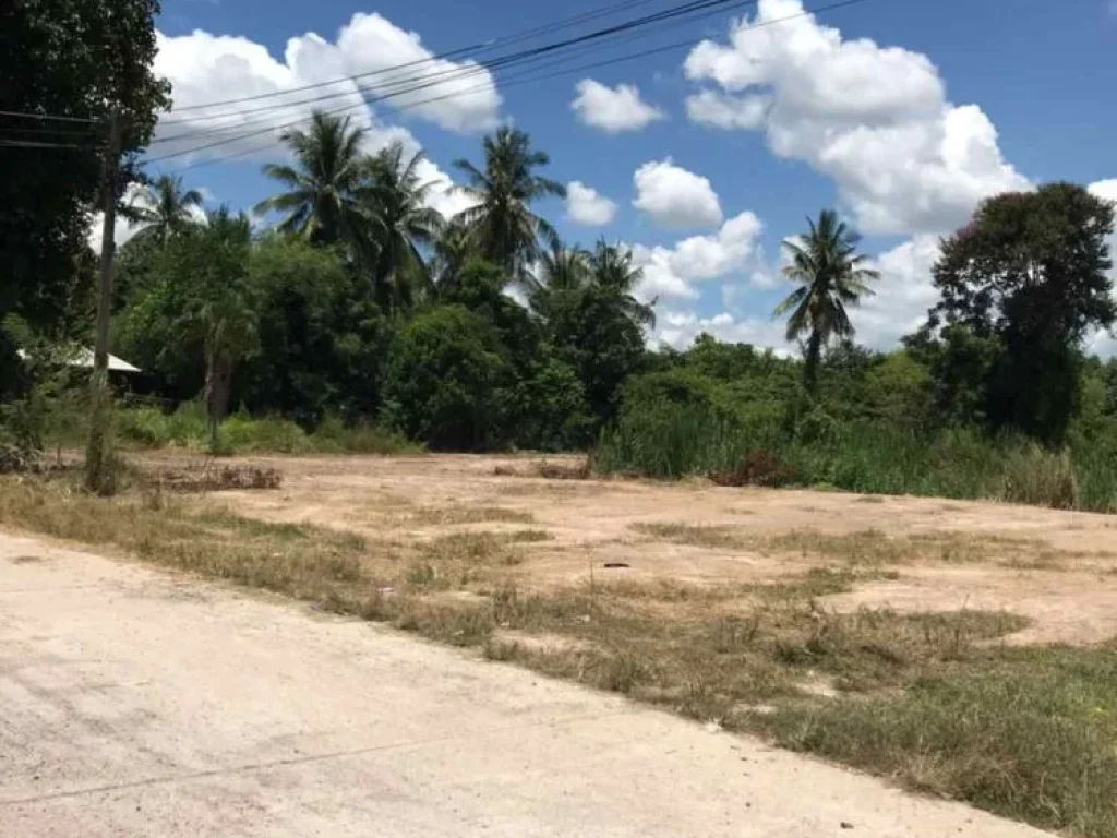 ขายที่ดินทำเลดีใกล้หาดชะอำ อำเภอท่ายาง จังหวัดเพชรบุรี