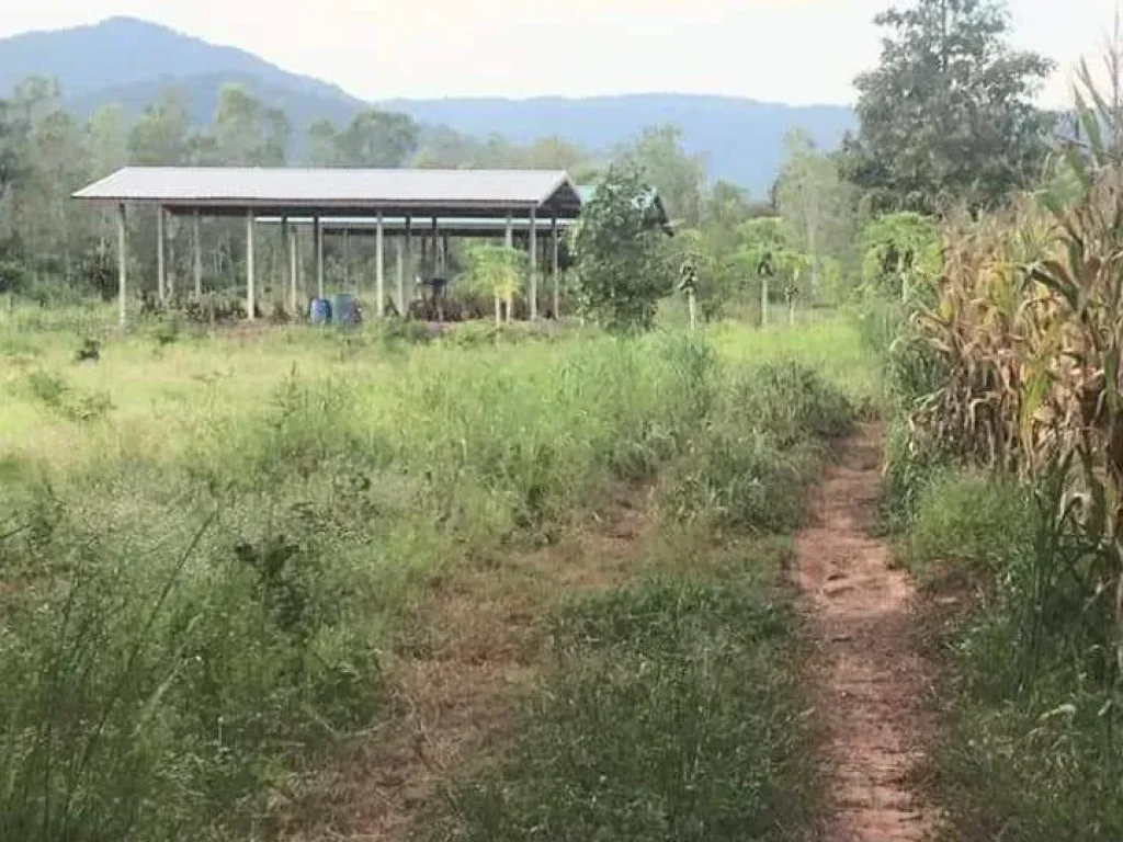 ที่ดินเปล่า วิวสวย โฉนด ใกล้ถนนสายหลัก อน้ำปาด อุตรดิตถ์