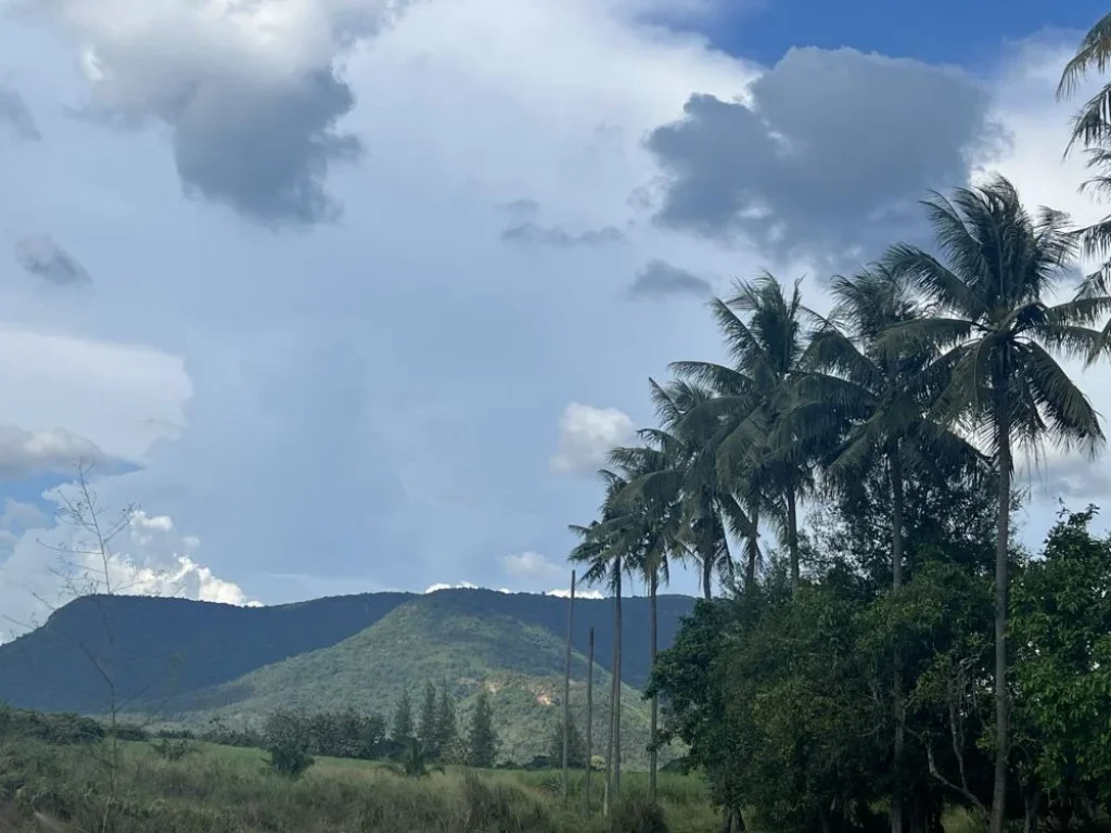 ที่ดินโฉนด วิวภูเขากระทิงเด่น สวยมากๆๆ ติดถนนลาดยาง แหล่งชุมชน