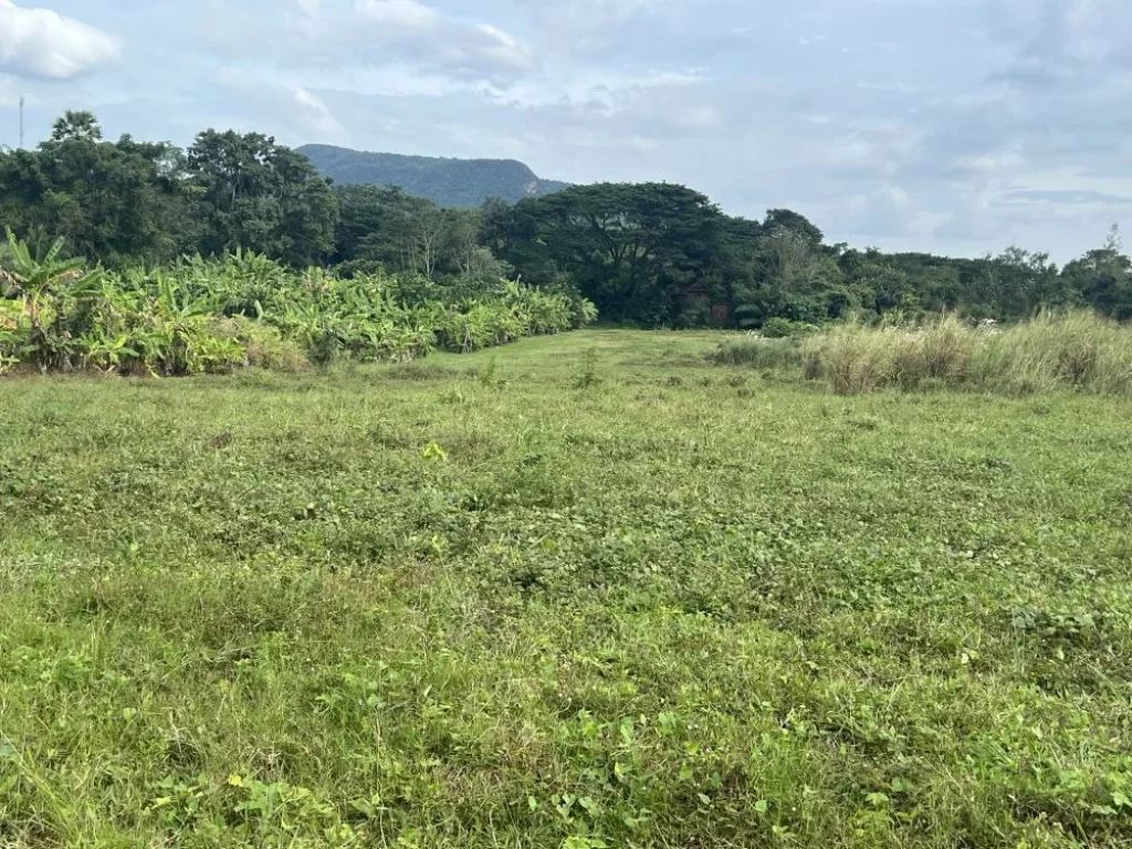 ที่ดินติดลำห้วยแม่ประจันต์ หนองหญ้าปล้อง เพชรบุรี วิวภูเขา