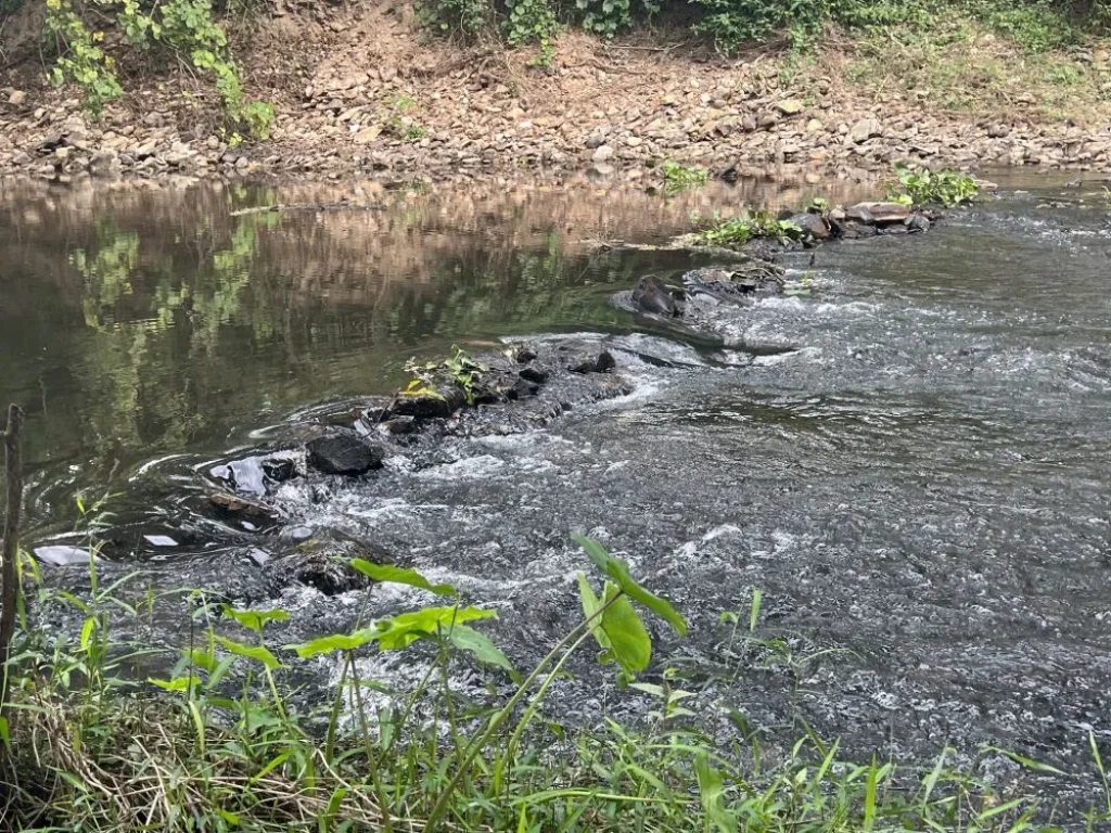 ที่ดินติดลำห้วยแม่ประจันต์ หนองหญ้าปล้อง เพชรบุรี วิวภูเขา