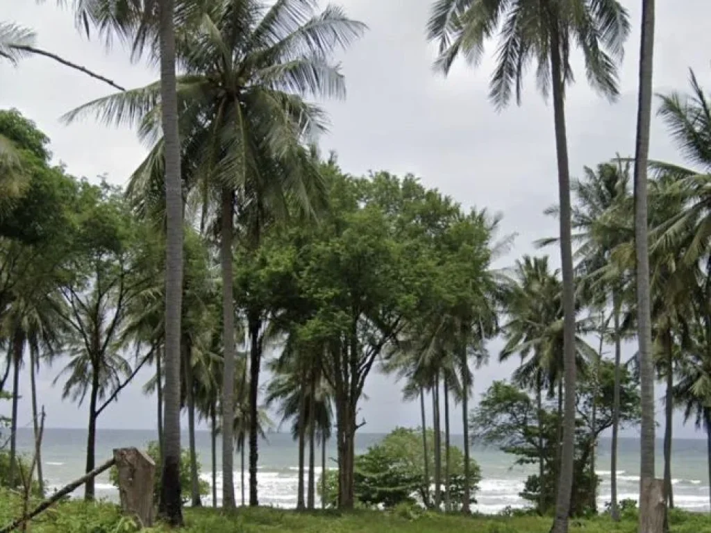 ที่ดินบนหาดบากันเตียง เกาะลันตาวิวสวยเหมาะสร้างรีสอร์ทอยู่ฝั่งพระอาทิตย์ตก