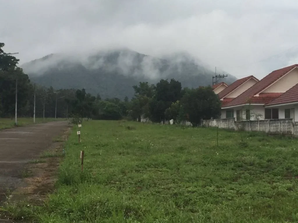 ขายที่ดิน โครงการ บ้านเฟื่องฟ้าอิงดอย จังหวัดลำพูน แวดล้อมด้วยธรรมชาติและอากาศบริสุทธิ์ตลอดปี