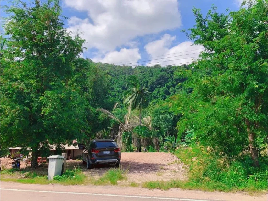 ที่ดินแปลงบนทำเลอลังการหน้าทะเลหลังภูเขา อ่าวทุ่งมะขาม ชุมพร