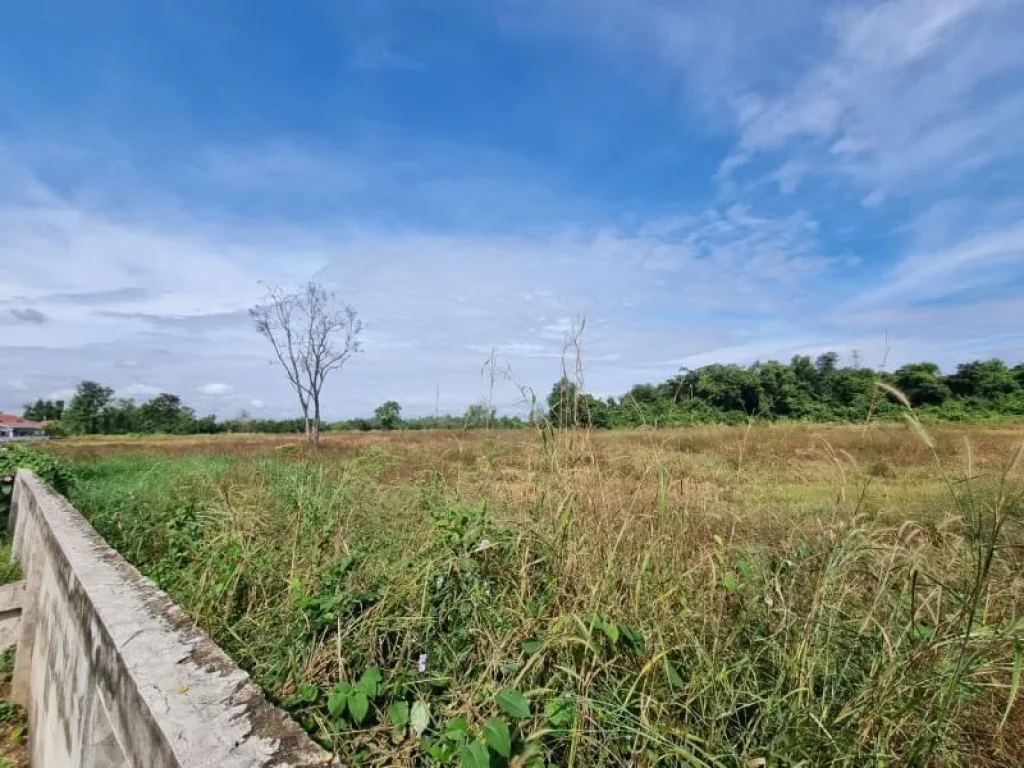 ขายที่ดินอุดรธานี ใกล้สนามบินอุดรฯ เนื้อที่ 85 ไร่ เหมาะทำที่จัดสรร สร้างบ้านขายได้ หรือซื้อเก็งกำไร