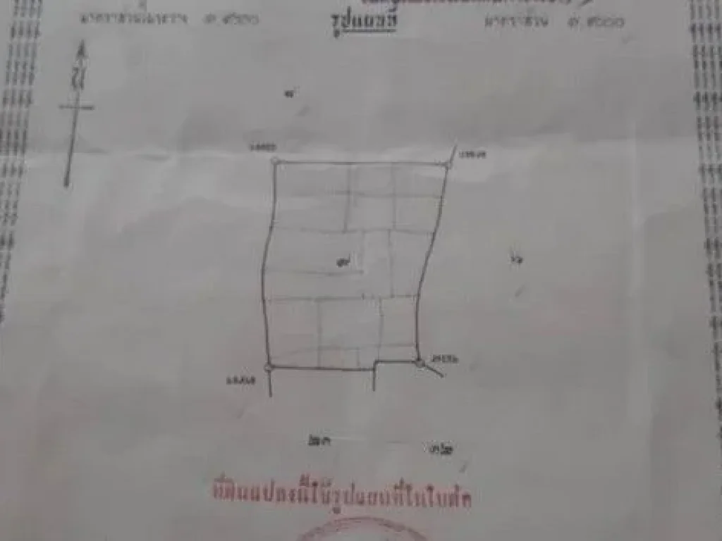 ขายด่วนที่ดิน ใกล้สนามทดสอบยางไทยบริดสโตน อหนองแค จสระบุรี 11-2-47 ไร่