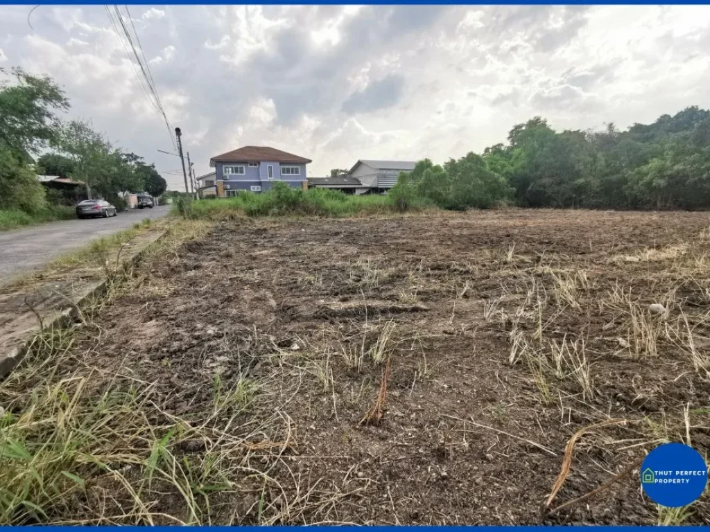 ขายที่ดิน ซอยลำลูกกา 21 ซอยเทศบาลคูคต ปทุมธานี เนื้อที่ 253 ตรว