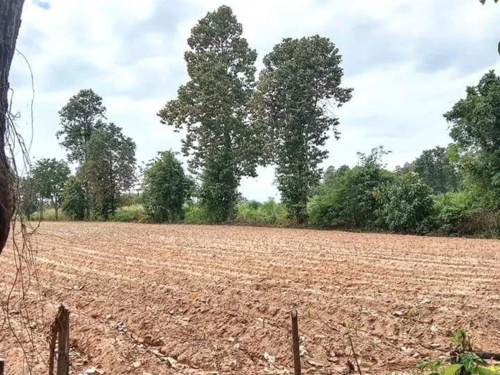 ที่ดินแปลงสวย วิวสวย ถนนลาดยาง น้ำไฟผ่าน ราคาไม่ถึงแสนต่อไร่ อุตรดิตถ์