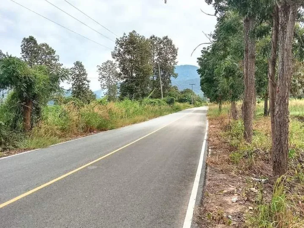 ที่ดินแปลงสวย วิวสวย ถนนลาดยาง น้ำไฟผ่าน ราคาไม่ถึงแสนต่อไร่ อุตรดิตถ์