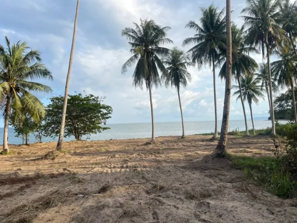 ที่ดินสวย ติดชายหาด น้ำไฟพร้อม โฉนดครุฑแดงแท้ หลังสวน ชุมพร