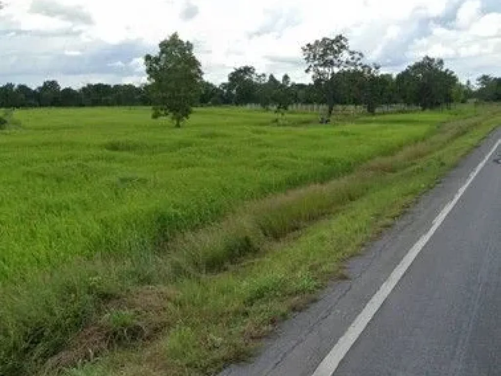 ขาย ที่ดิน เนื้อที่ 16-1-72 ไร่ อพุทไธสง ติดถนนบุรีรัมย์ - ขอนแก่น อหนองสองห้อง 95 เมตร