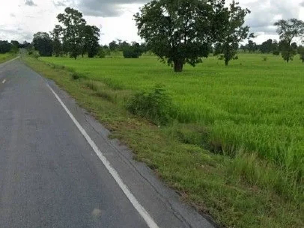 ขาย ที่ดิน เนื้อที่ 16-1-72 ไร่ อพุทไธสง ติดถนนบุรีรัมย์ - ขอนแก่น อหนองสองห้อง 95 เมตร