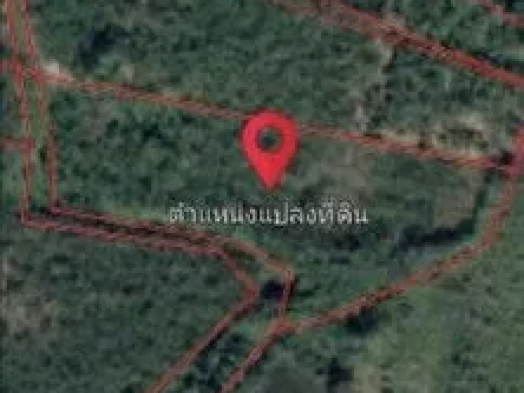 ขายที่ดินขนาด 8ไร่ 1 งาน บ้านเนินสูง ตนาหินลาด อปากพลี จ นครนายก