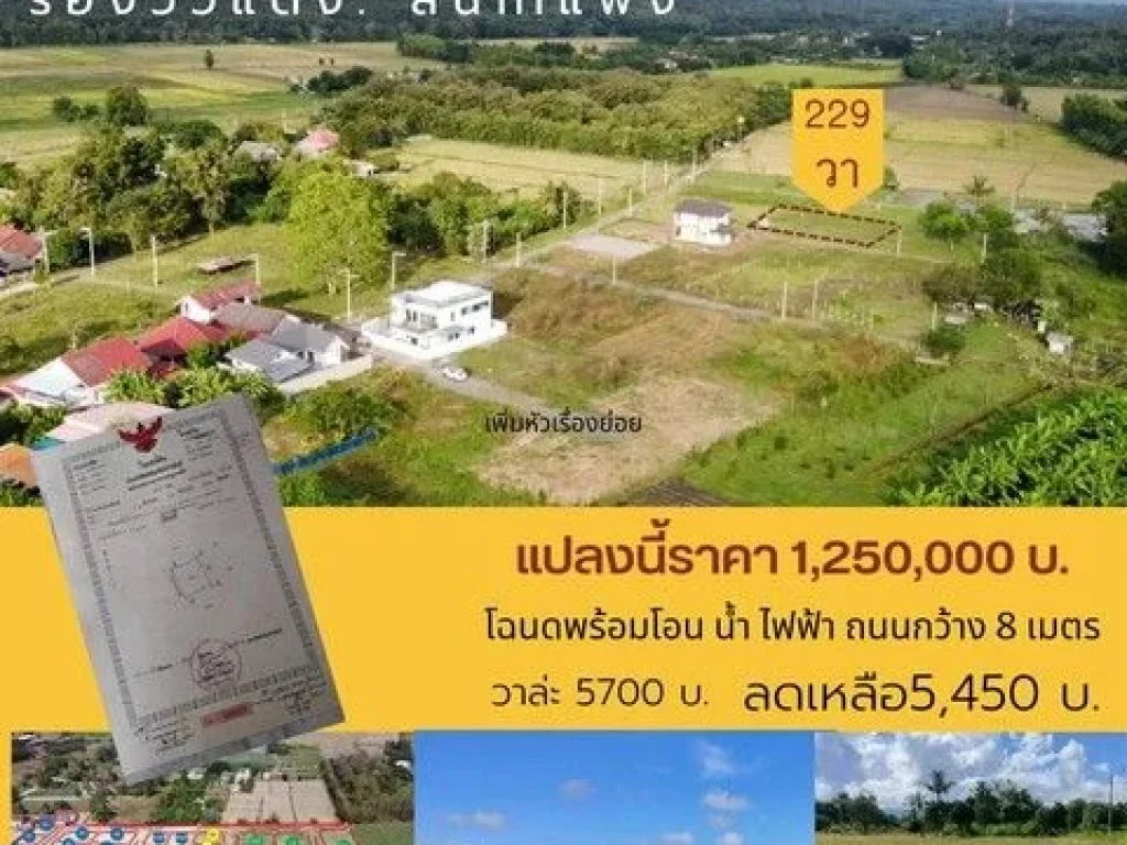 ขายที่ดิน 229ตรว 12ล้านบาท ฟรีโอน ถนนคก 8เมตร น้ำประปา ไฟฟ้า ตร้องวัวแดง อสันกำแพง เชียงใหม่