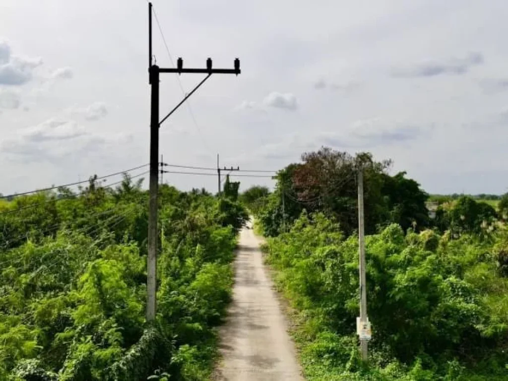 ด่วนขายที่ดินถมแล้วทำเลดี คลอง 6 ขนาด 78 ตรวคลองหลวง ปทุมธานี