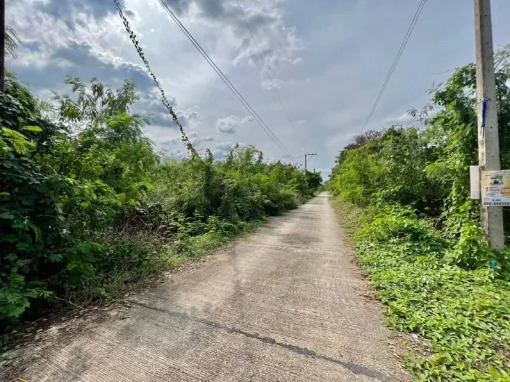 ด่วนขายที่ดินถมแล้วทำเลดี คลอง 6 ขนาด 78 ตรวคลองหลวง ปทุมธานี