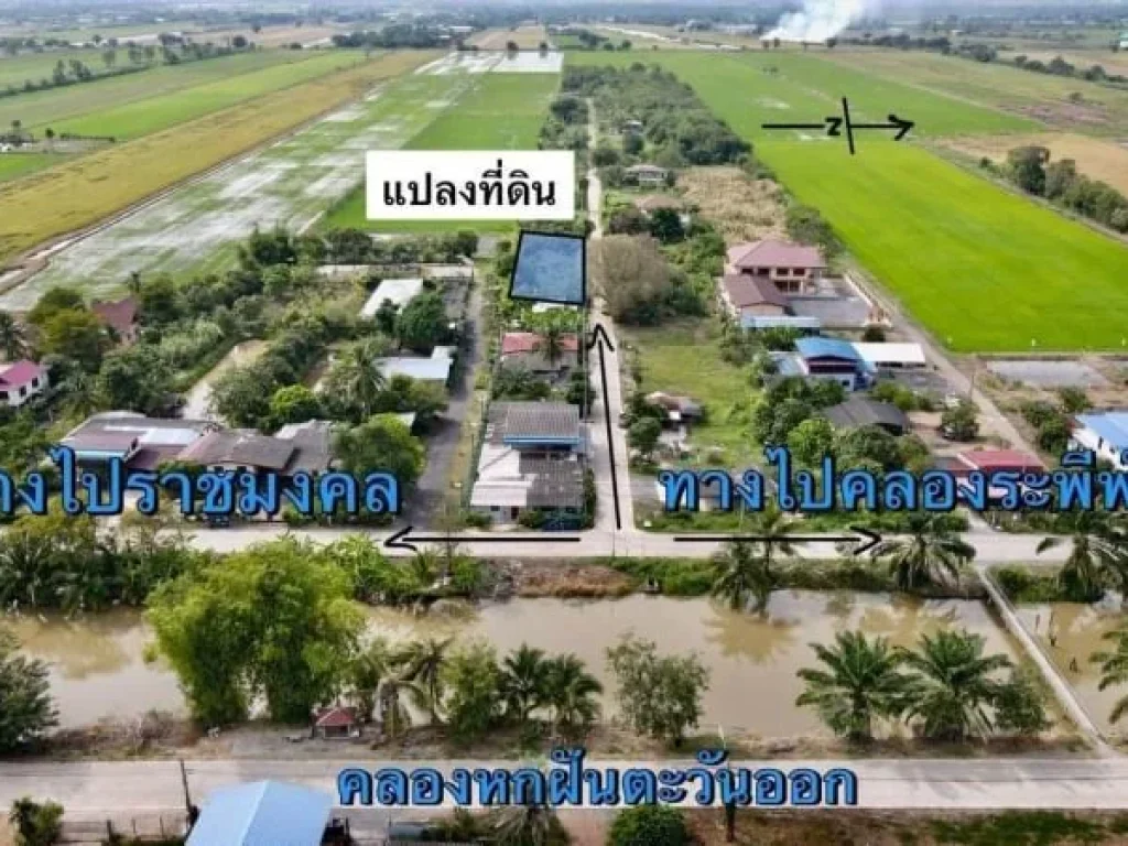 ด่วนขายที่ดินถมแล้วทำเลดี คลอง 6 ขนาด 78 ตรวคลองหลวง ปทุมธานี