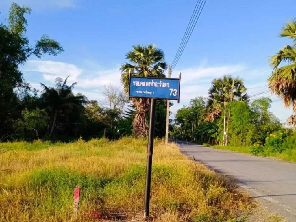 ขายที่ดิน คลองห้า คลองหลวง ซอยคลองห้าตะวันตก72 ตำบลคลองห้า อำเภอคลองหลวง จังหวัดปทุมธานี