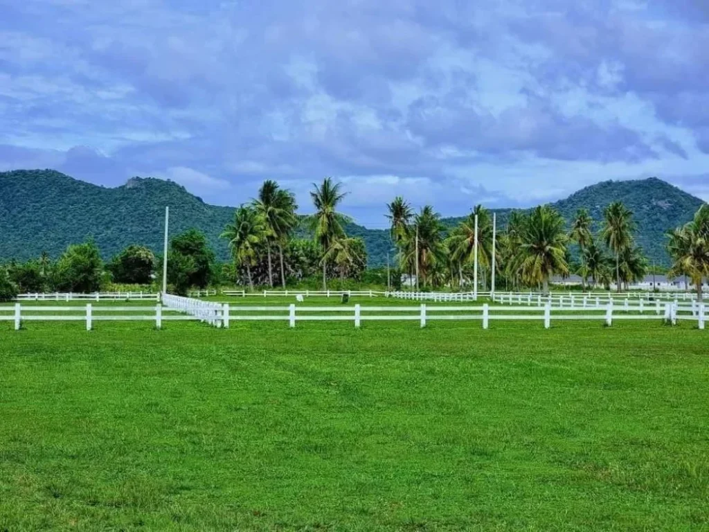 ขายที่ดิน สวยครบเครื่อง 200 ตรวชะอำ-หัวหิน เพชรบุรี