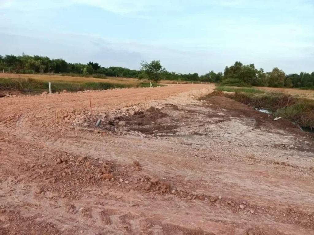 ด่วนที่ดินแปลงเล็ก ถูก ใกล้ถนนลาดยางหลัก 30 เมตร หนองแค สระบุรี